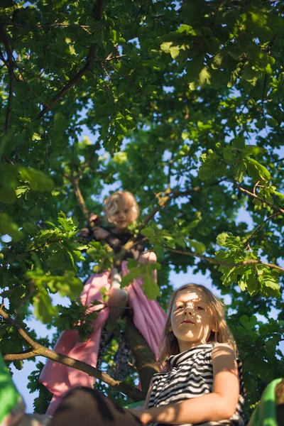 Niños Trepando Árboles Aire Libre — Foto de Stock