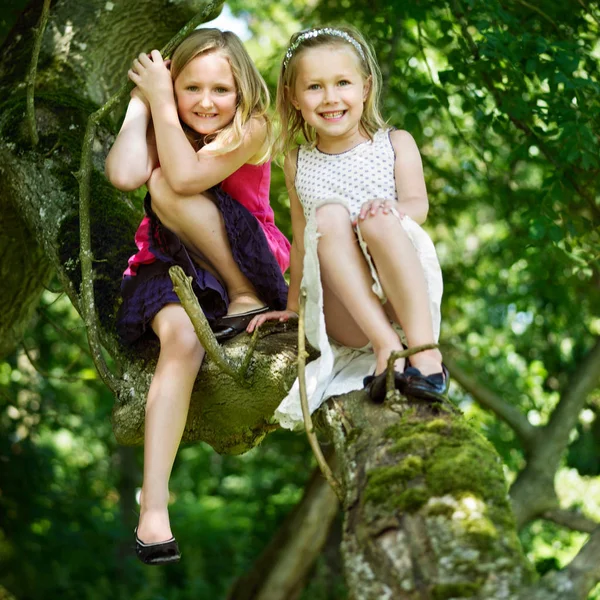 Усміхнені Дівчата Сидять Дереві — стокове фото