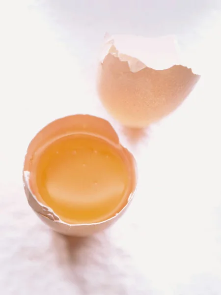 Close Egg White Background — Stock Photo, Image