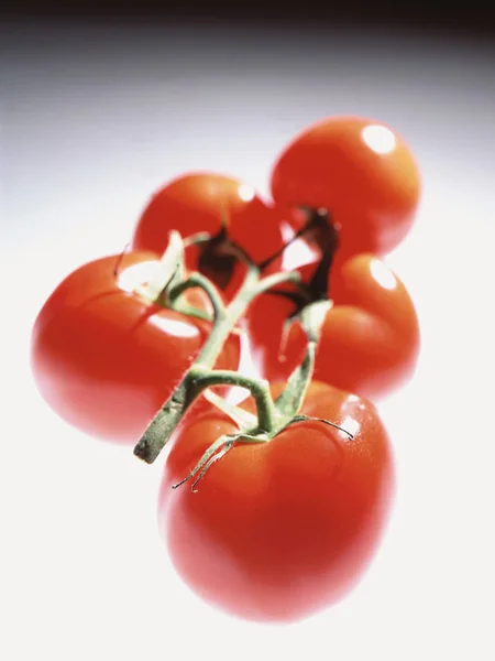 白い背景の上のチェリー トマトのクローズ アップ ショット — ストック写真