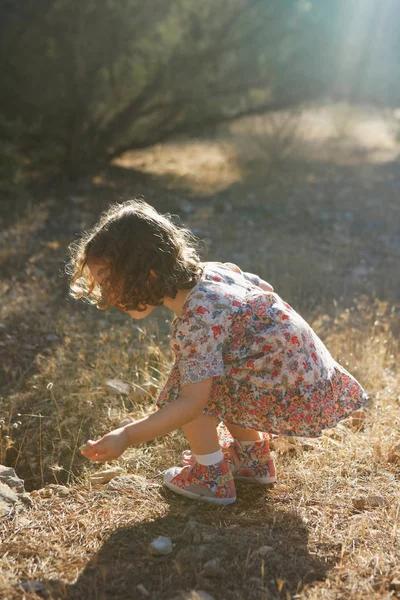 Ragazza Raccolta Fiori Campo — Foto Stock