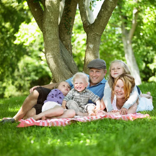 Aile Piknik Yapıyor — Stok fotoğraf