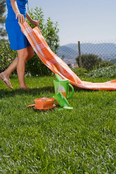 Imagem Cortada Mulher Preparando Piquenique Parque Com Montanhas Backgorund — Fotografia de Stock