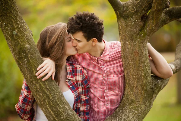 Підліткова Пара Цілується Дереві Парку — стокове фото