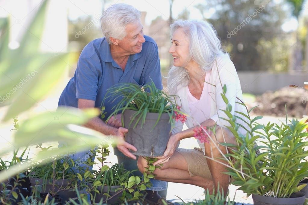 Older couple gardening together