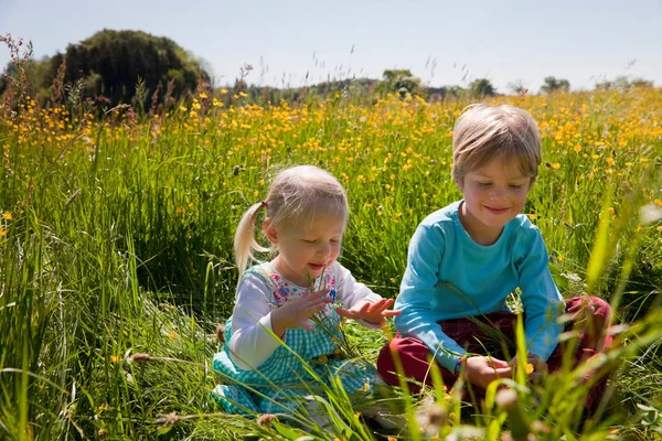 Dzieci Siedząc Pole Kwiatów — Zdjęcie stockowe