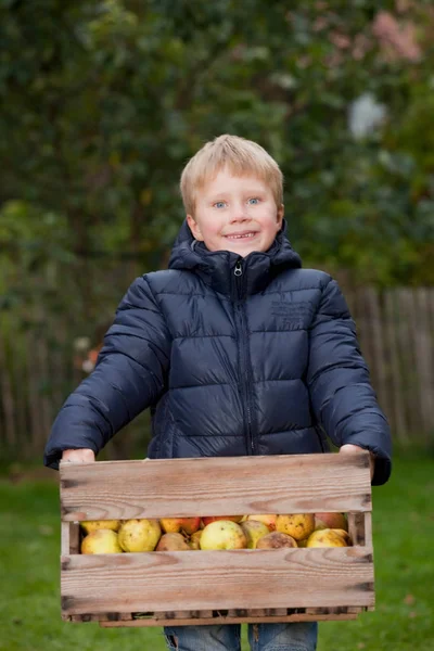 Elma Kutusunu Çocukla — Stok fotoğraf