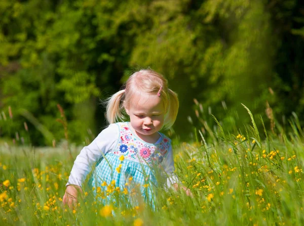 Menina Andando Campo Flores — Fotografia de Stock