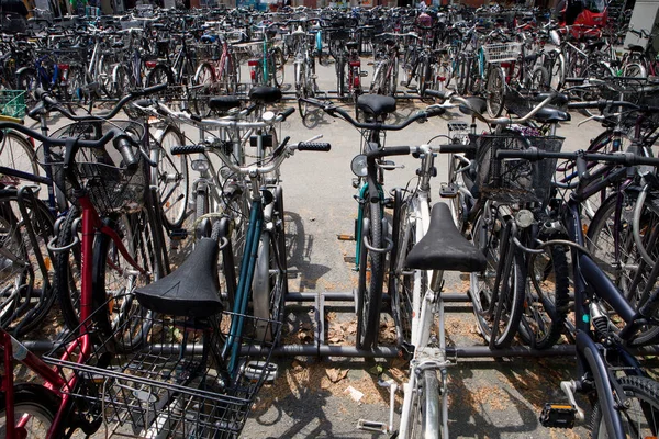 Muchas Bicicletas Estacionadas Puesto Bicicletas — Foto de Stock