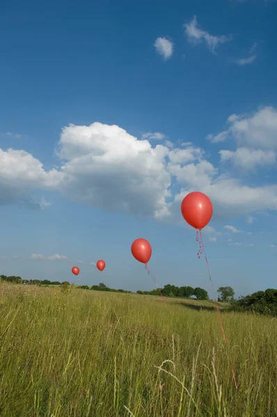 Rote Luftballons Feld Mit Bewölktem Himmel Auf Dem Hintergrund — Stockfoto
