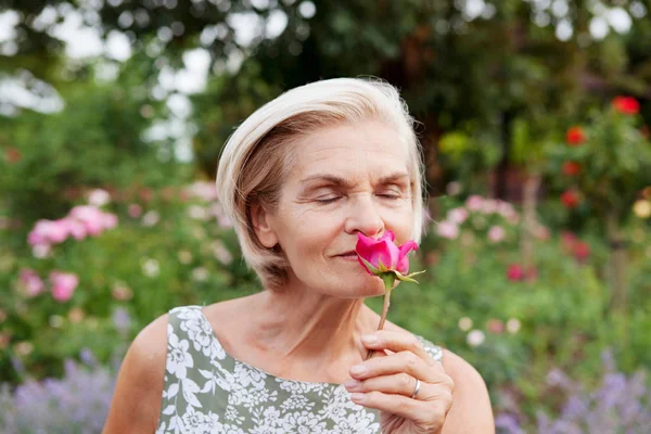 Mulher Adulta Sênior Cheirando Rosa Jardim Rosas — Fotografia de Stock