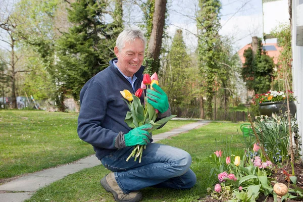 Hombre Caucásico Mayor Jardinero Cortando Flores Patio Trasero — Foto de Stock