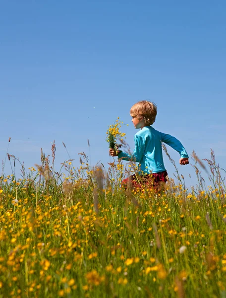 Menino Andando Campo Flores — Fotografia de Stock