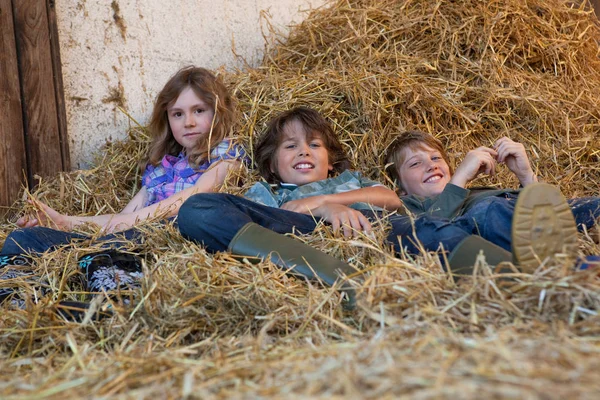 Drei Kinder Ruhen Heu — Stockfoto