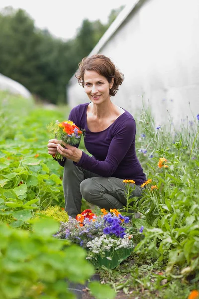 Adulto Caucásico Hembra Jardinero Con Flores Invernadero — Foto de Stock