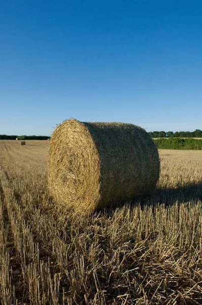 Εμπρόσθια Όψη Της Haystack Στον Αγροτικό Τομέα Κατά Διάρκεια Της — Φωτογραφία Αρχείου