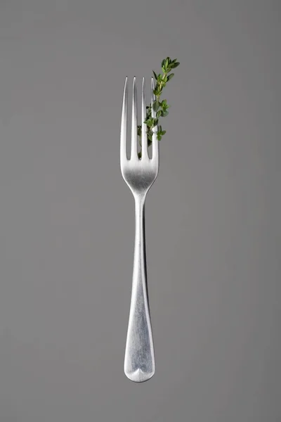 Front View Silver Fork Thyme Gray Background — Stock Photo, Image