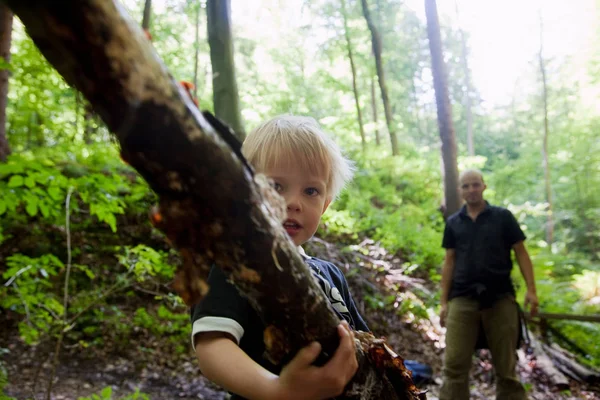 Boy Carrying Limb Forest — Stock Photo, Image