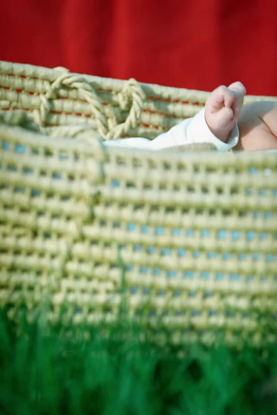 草の上に生の赤ちゃんキャリア — ストック写真