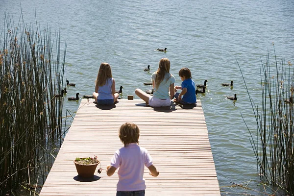Dzieci karmiące kaczki na jeziorze — Zdjęcie stockowe