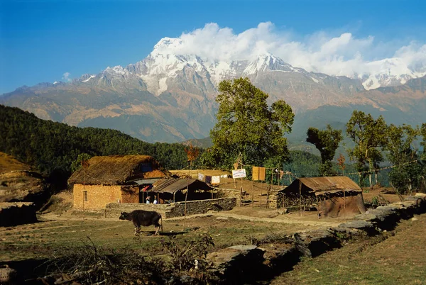 Annapurna Nepal Montañas Vista —  Fotos de Stock