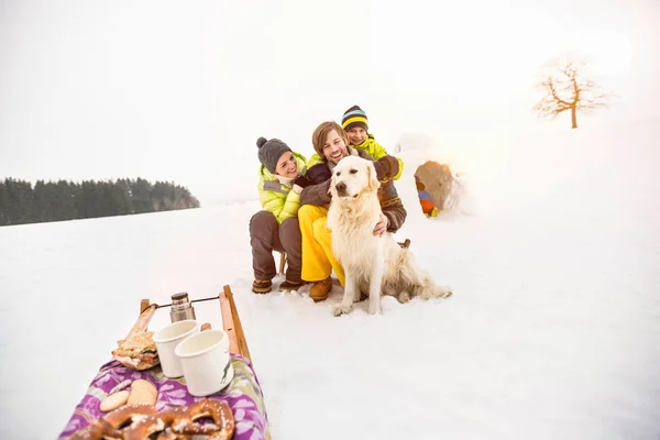 雪の中で犬と親と息子 — ストック写真