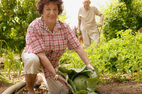 Senior Couple Allotment — Stock Photo, Image