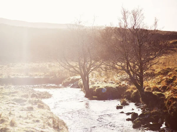 Río Soleado Árboles Desnudos Highlands Noroeste Escocia Reino Unido — Foto de Stock
