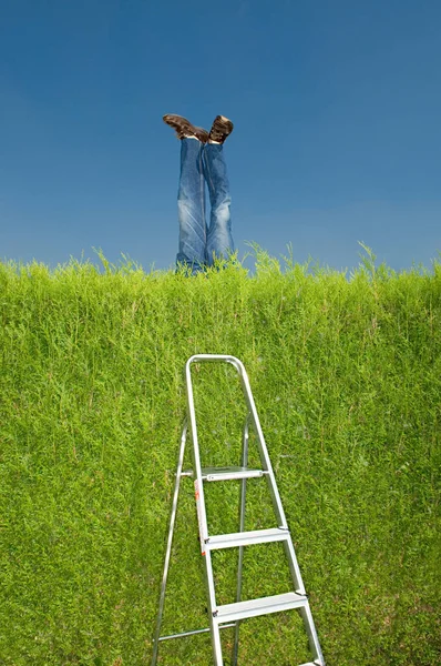 Legs Mannequin Hedge Royalty Free Stock Photos