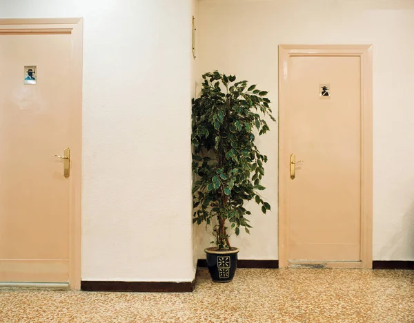 Toilettes Pour Femmes Hommes — Photo