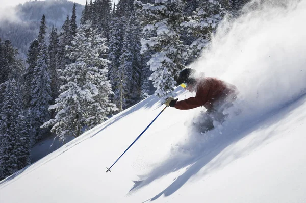 Homem Esquiando Solitude Mountain Resort Utah Eua — Fotografia de Stock