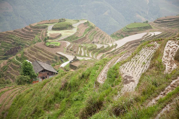 China Guangxi Longsheng Dragon Backbone Rice Terraces — Stock Photo, Image