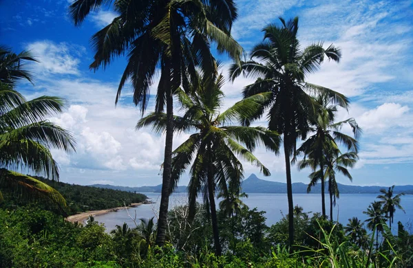 Küste Von Mayotte Mit Palmen — Stockfoto