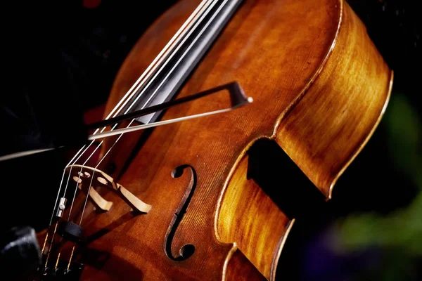 バイオリンと弓の終わり — ストック写真