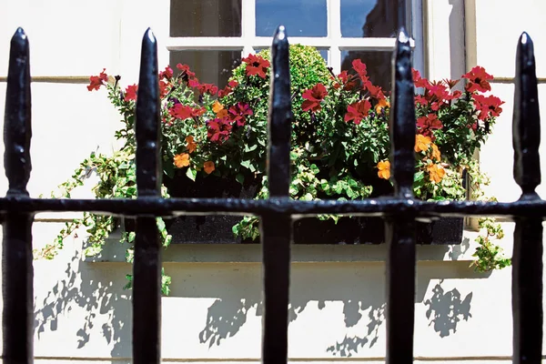 Window Box Railings — Stockfoto