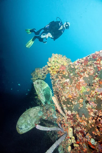 Buceador Examinando Naufragio Submarino — Foto de Stock
