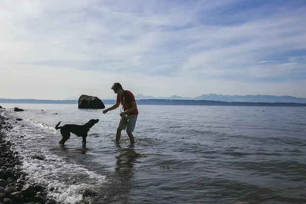 Man Playing His Dog Shores Puget Sound Seattle Washington State — Stock Photo, Image