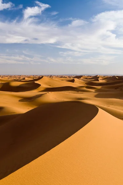 Schaduwen Zandduinen Woestijn — Stockfoto