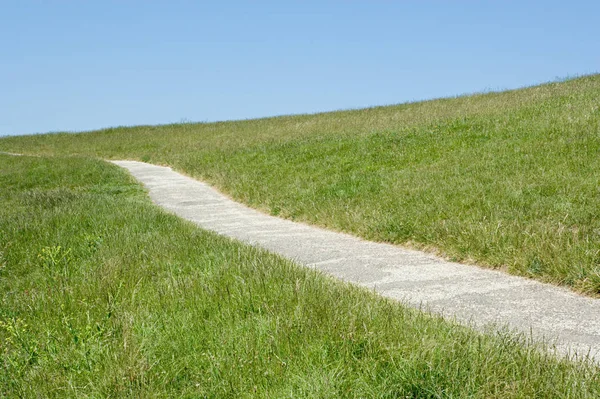 Bir Alandan Geçen Yol — Stok fotoğraf