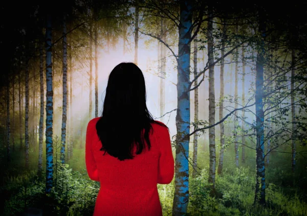 Rear View Woman Front Forest Print Wall — Stock Photo, Image