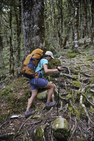 ニュージーランドの森で女性のハイキング — ストック写真