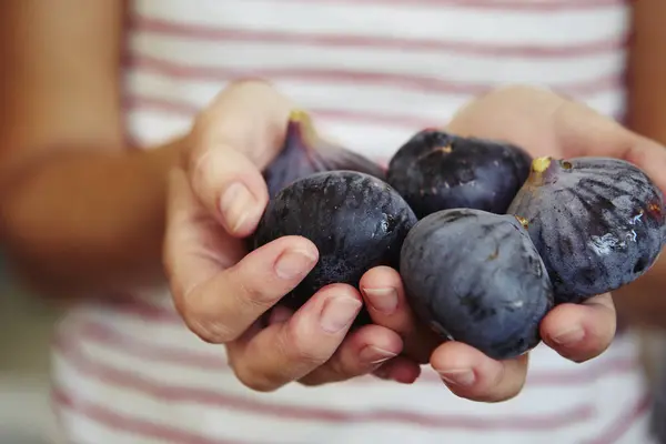 Blisko Kobiet Ręce Trzymając Pięć Świeżych Fig — Zdjęcie stockowe