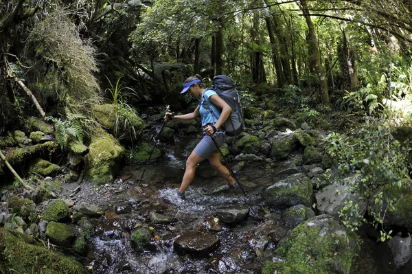ニュージーランドのTararua Ridgeの森林ストリームを横断する女性ハイカーのハイキング — ストック写真