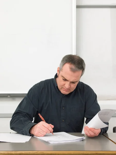 Porträt Des Lehrers — Stockfoto