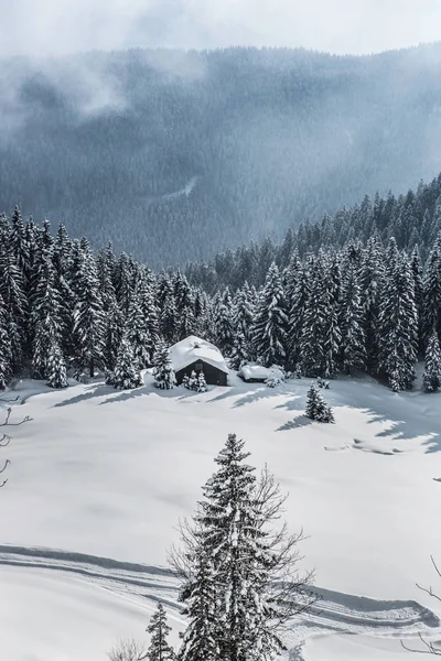 Verschneite Hütte Winterlicher Landschaft — Stockfoto