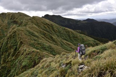 Dağlarda yürüyüş yapan kadın yürüyüşçünün arka görüntüsü, Tararua Tepesi, Yeni Zelanda