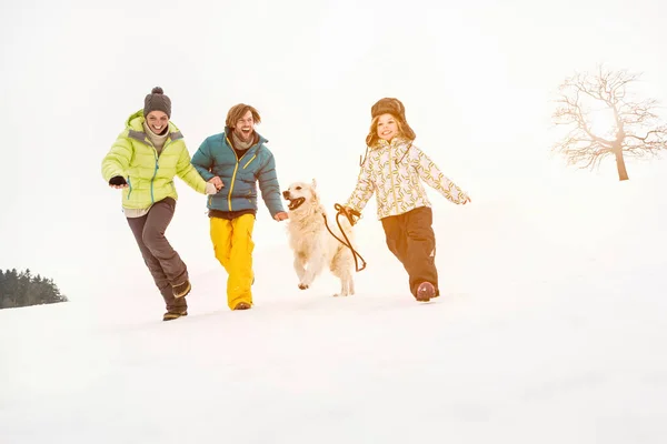 犬と一緒に雪の上を走る家族 — ストック写真