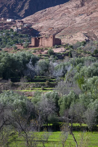 Veduta Del Villaggio Montagna Moschea Montagne Dell Atlante Marocco — Foto Stock