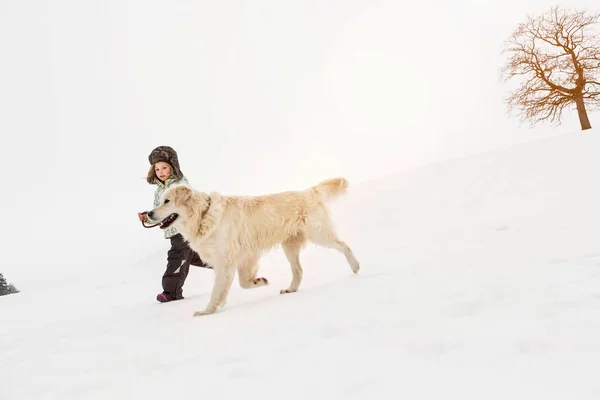 Κορίτσι Περπάτημα Σκυλί Στο Χιόνι — Φωτογραφία Αρχείου