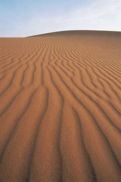 Öknen Solig Dag — Stockfoto